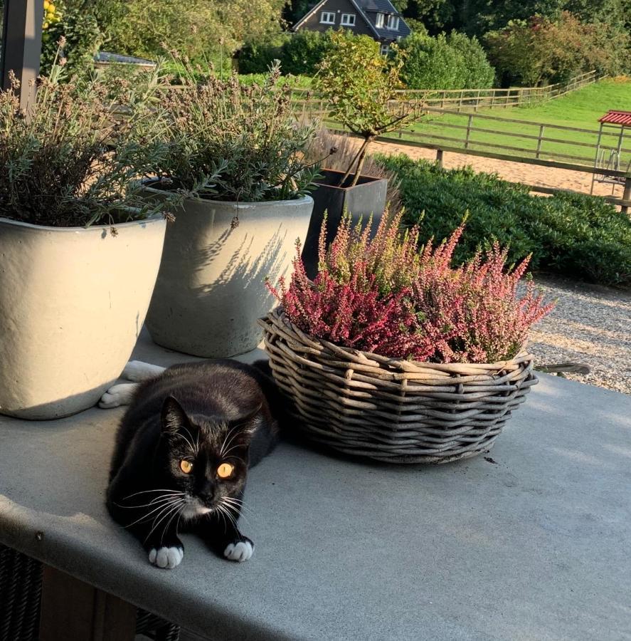 De Paalberg Bed & Breakfast
